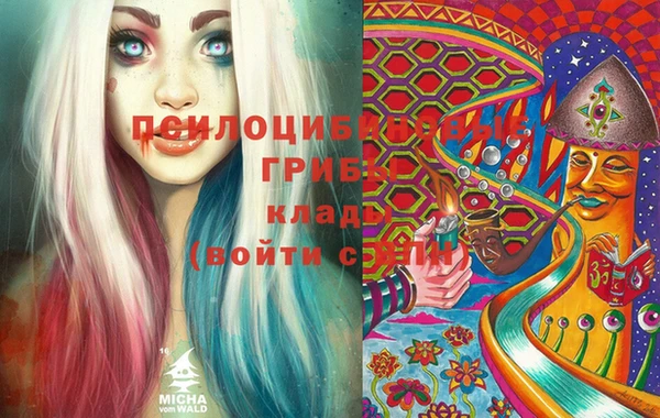 соль ск Надым