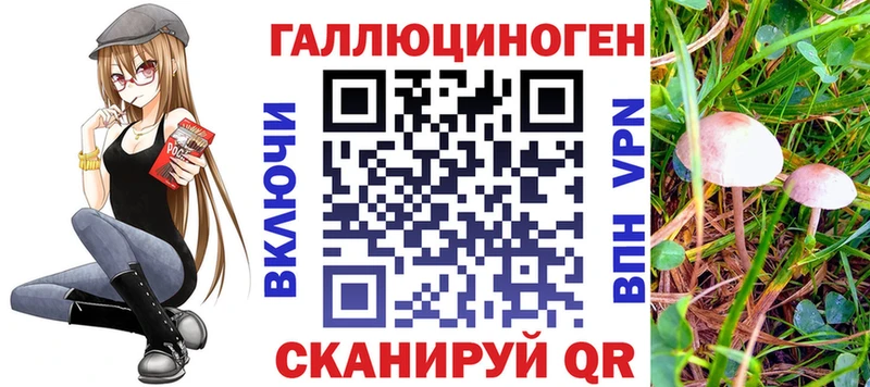 Галлюциногенные грибы MAGIC MUSHROOMS  даркнет сайт  Хадыженск 